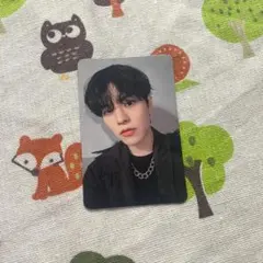 スンミン straykids doit EVIL SKZOO スピーカー トレカ