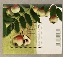 risu様 リクエスト 10点 まとめ商品