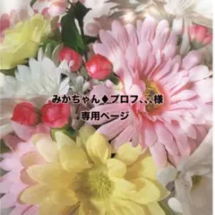 みかちゃん♦︎プロフ、、、様専用ページ
