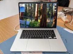 Apple MacBook M4 15インチ（美品）