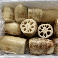 れんこん　4キロ　新鮮　産直のサムネイル