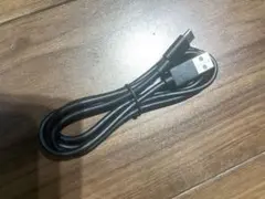 USB Type-A to Type-C 充電・転送ケーブル ブラック（未使用）