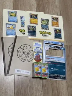 新品未開封 ポケパークカントー限定/プラコロ2個セット/ピカチュウ