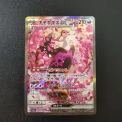 キチキギスex SAR　sar　メガドリーム　キチキギス