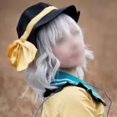 東方Project 古明地こいし 銀髪 ウィッグ コスプレ衣装 - メルカリ