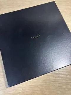 CELINE セリーヌ　ハンカチ　2枚セット