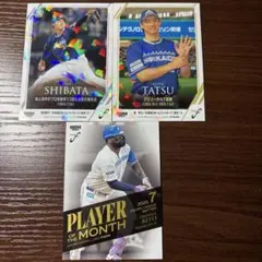 柴田獅子 スポーツカード