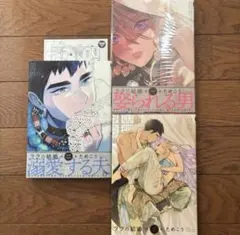 ララの結婚　1巻　2巻　3巻　ためこう　BLコミック　BL漫画　まとめ売り　BL