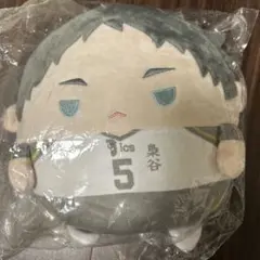 ハイキュー くじメイト ぬいくじ C賞 ふわコロりん Мサイズ 赤葦京治