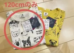 みいこ様専用です◎