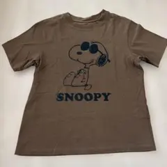 アンコキーヌ　スヌーピー　Tシャツ　ブラウン　M