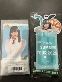 乃木坂46遠藤さくら 2025全ツ チケホル＆生写真ホルダー - メルカリ