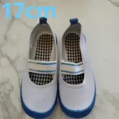 Item thumbnail for item b179987d-bc2e-4701-89c4-bd9a8b508b89