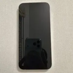 iPhone13Pro Max本体 裏面ヒビ割れあり SIMフリー