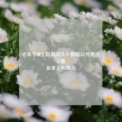 さあち様　おまとめ商品　2点