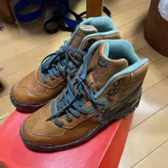 ソールスワップ