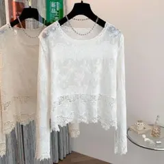 きれいめコーデ レース柄 切り替 Tシャツ 大きいサイズ 透かし編み トップス