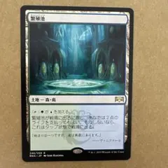 MTG 繁殖池 [RNA] 日本語1枚のサムネイル