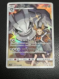 美品 ハガネール CHR SM11b ドリームリーグ 060/049