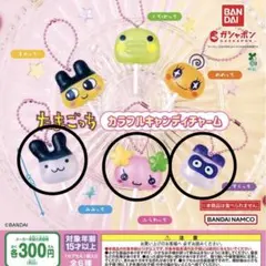 たまごっち カラフルキャンディチャーム　3個セット