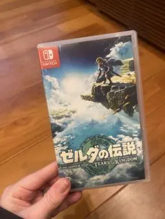 ゼルダの伝説 TEARS OF THE KINGDOM