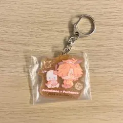 CR ありさか　ポチャッコ　アクキ