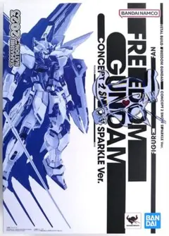 METAL BUILD　フリーダムガンダム　SNOW SPARKLE Ver.