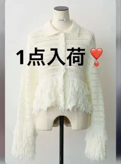メッシュフリンジクロップドニット ホワイト　Freneフラーネ同型