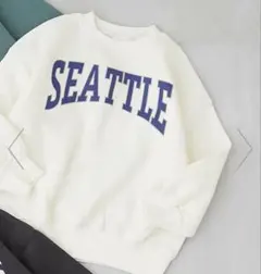 【新品タグ付き】トレーナー 裏起毛 devirock ビッグシルエット