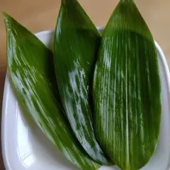 緑色の光沢の有る笹の葉♪