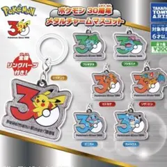 匿名配送 ポケモン 30周年 メタルチャームマスコット コンプリート