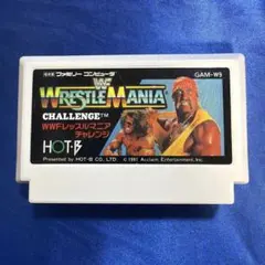 2026年最新】wwfレッスルマニアチャレンジの人気アイテム - メルカリ