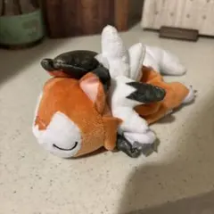 ポケセン限定/ドールズ くったり/イワンコ ルガルガン/ぬいぐるみ 5点セット ポケセン限定/ドールズ くったり/イワンコ ルガルガン/ぬいぐるみ 5点