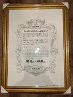 ゴールドクラシック額縁 31.8cm x 44.0cm