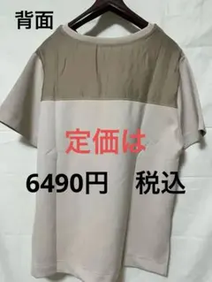 ムルーア　新品　MURUA 丸首　Tシャツ　ベージュ　シースルーのサムネイル