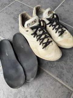 アシックス　ゴールドステージ I-PRO ファング　25cm