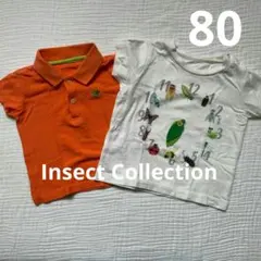 Insect Collection ポロシャツとTシャツ ２枚セット Sサイズのサムネイル