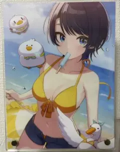 大空スバル　誕生日記念アクリルスタンドパネル