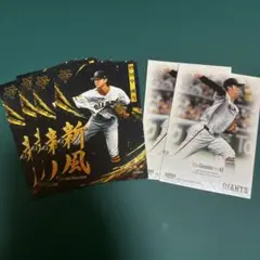 Item thumbnail for item aaaed0a4-31d1-490d-a866-f08843876805