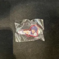 エーステ　碓氷真澄　アクリルクリップ