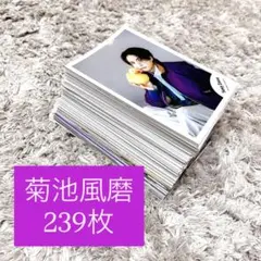 SexyZone timelesz 菊池風磨 公式写真　 239枚　まとめ売り