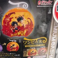 ワンピース ワンピの実 GRAND CAPSULE vol.02(2種セット)