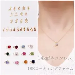 華奢♡ 14Kgfネックレス  18Kコーティングチャーム  ♡