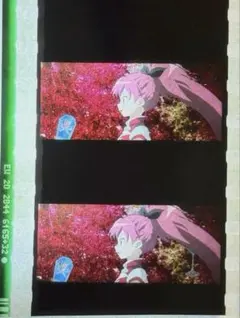 魔法少女まどか☆マギカ ワルプルギスの廻天 入場者特典 フィルム　佐倉杏子