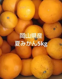 有田産カラマンダリン（南津海）家庭用訳あり品。総重量5kg サイズ おまかせ。 最後みかん 訳あり カラマンダリン 南津海 L~3Lサイズおまかせ 5kg