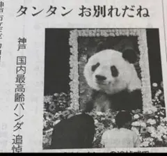 タンタン　追悼式　神戸市立王子動物園　読売新聞　2024/5/11のサムネイル