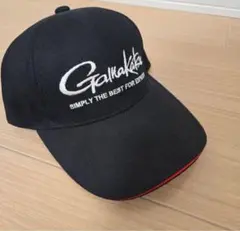 Item thumbnail for item 36e6bd4d-5e12-4841-9db2-4f936f27cf34