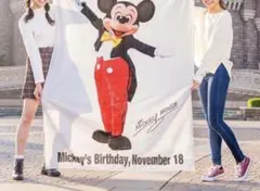 2025年最新】ミッキー タオル 実写の人気アイテム - メルカリ