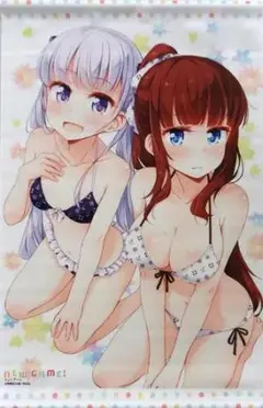 涼風青葉＆滝本ひふみ A3タペストリー NEW GAME! 6巻とらのあな特典