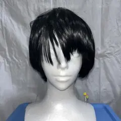 あんスタ 朔間凛月 ウィッグ